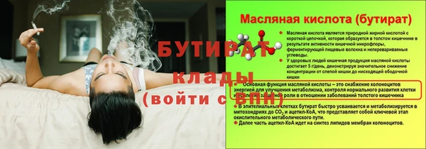 гидра Краснослободск