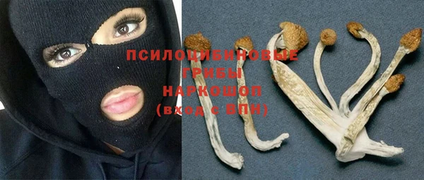 гидра Краснослободск