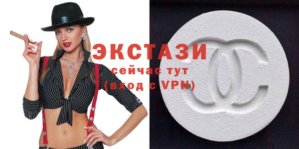 гидра Краснослободск